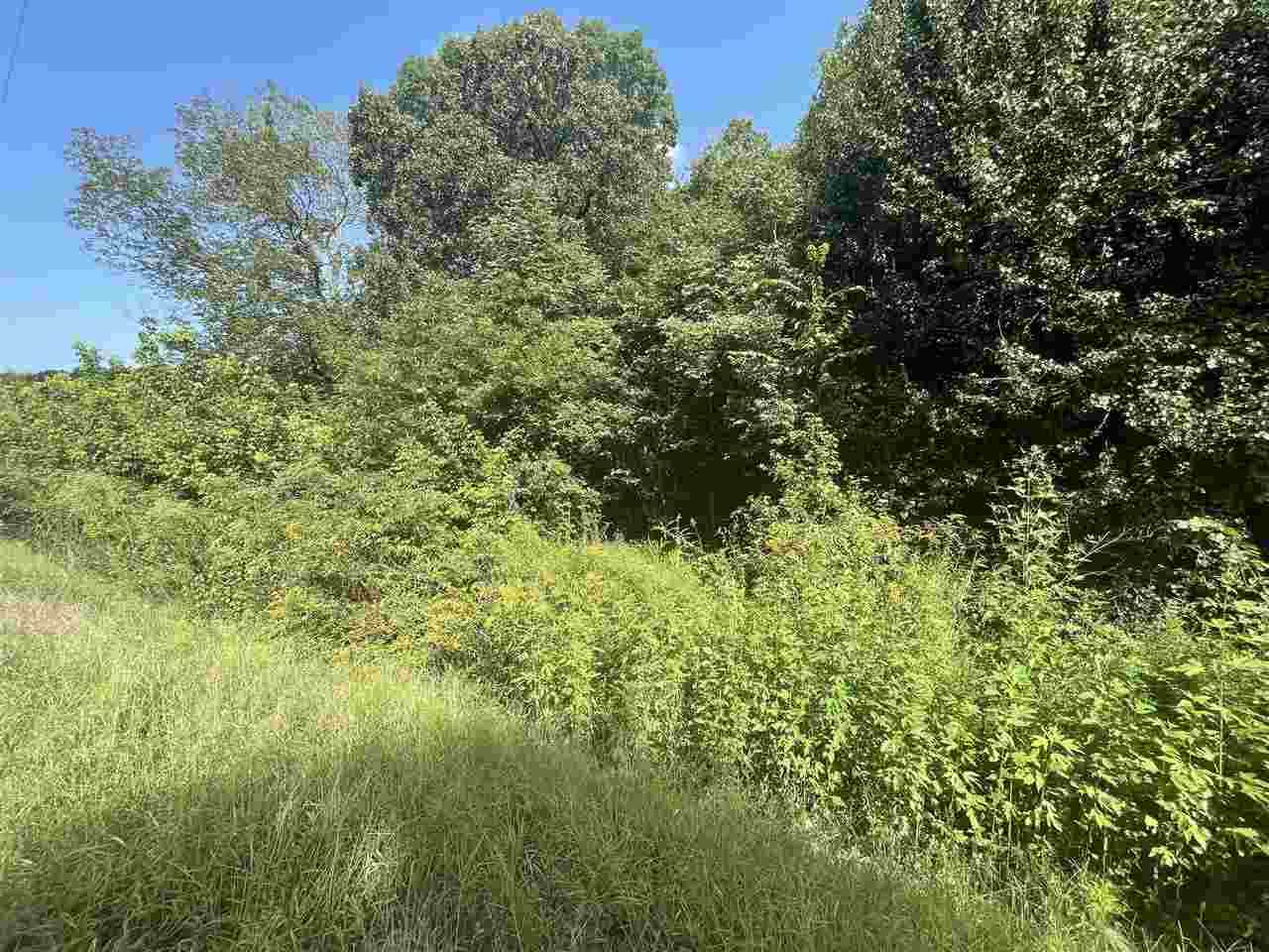 0 Jernigan Dr - Photo 1