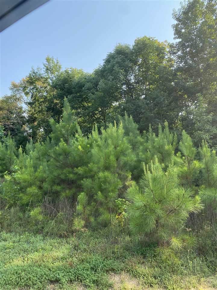 00 Lake Trail Loop - Photo 1