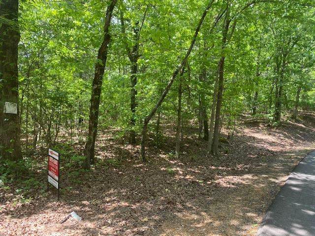 LOT 000 Center Hill Rd - Photo 1