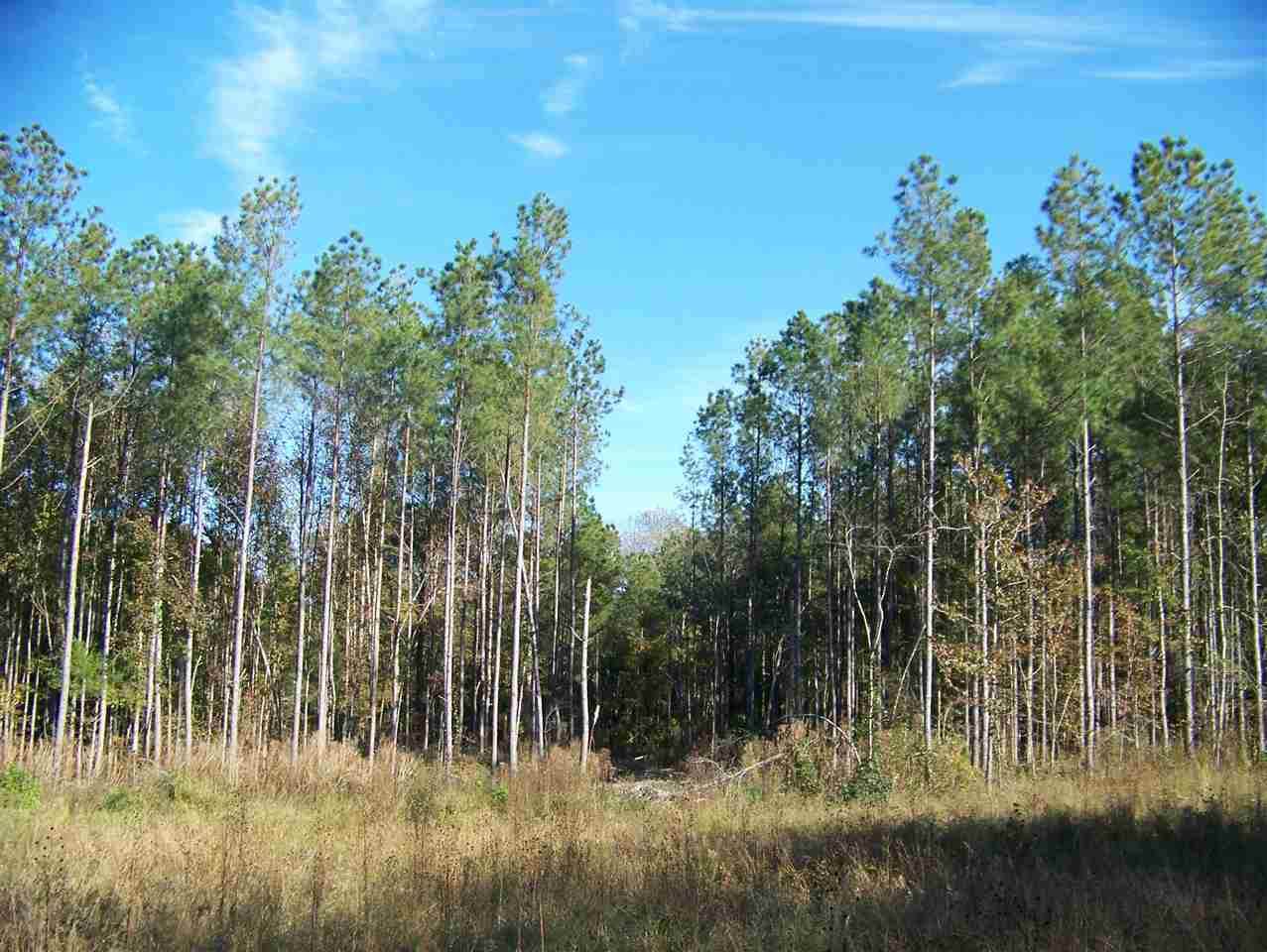 0 Marshall Dr - Photo 1