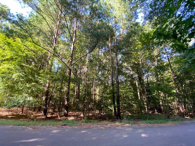 10816 Monterey Woods Cv - Photo 1