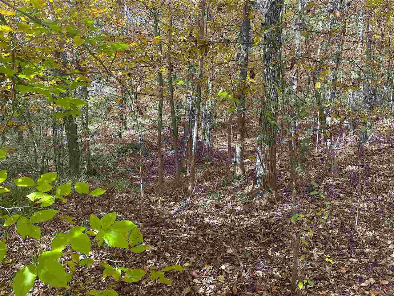 Unincorporated Hwy - Photo 1