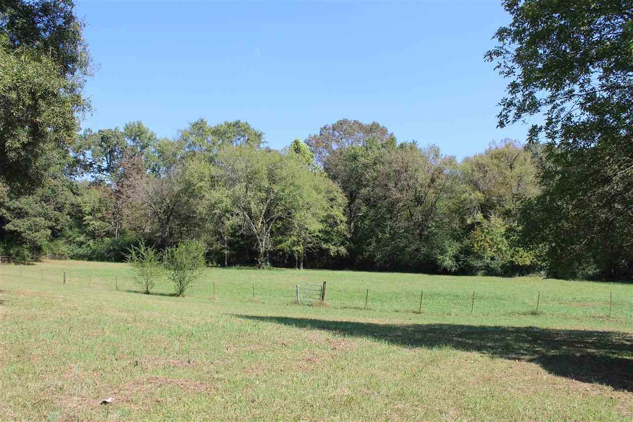 12549 Monterey Rd - Photo 1