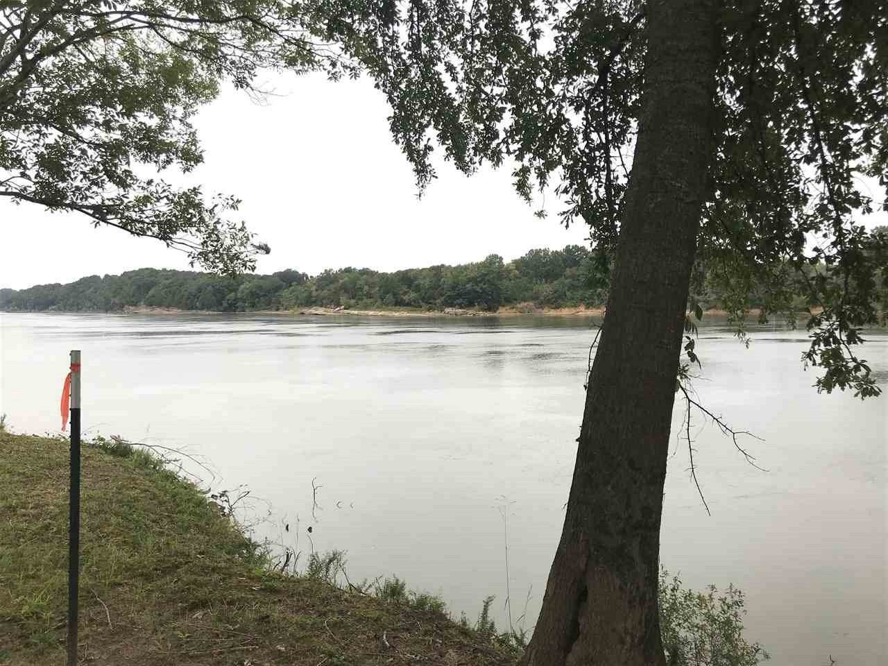 LOT 84 & 85 Prairie Land Dr Dr - Photo 1