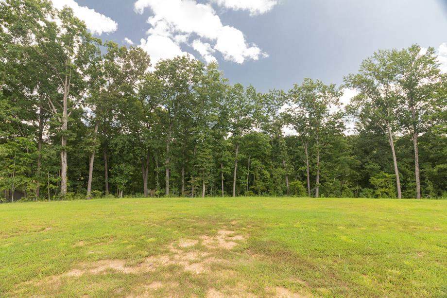 0 Twin View Cir - Photo 1