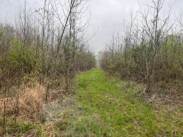 https://bt-photos.global.ssl.fastly.net/memphis/orig_boomver_1_10203276-2.jpg