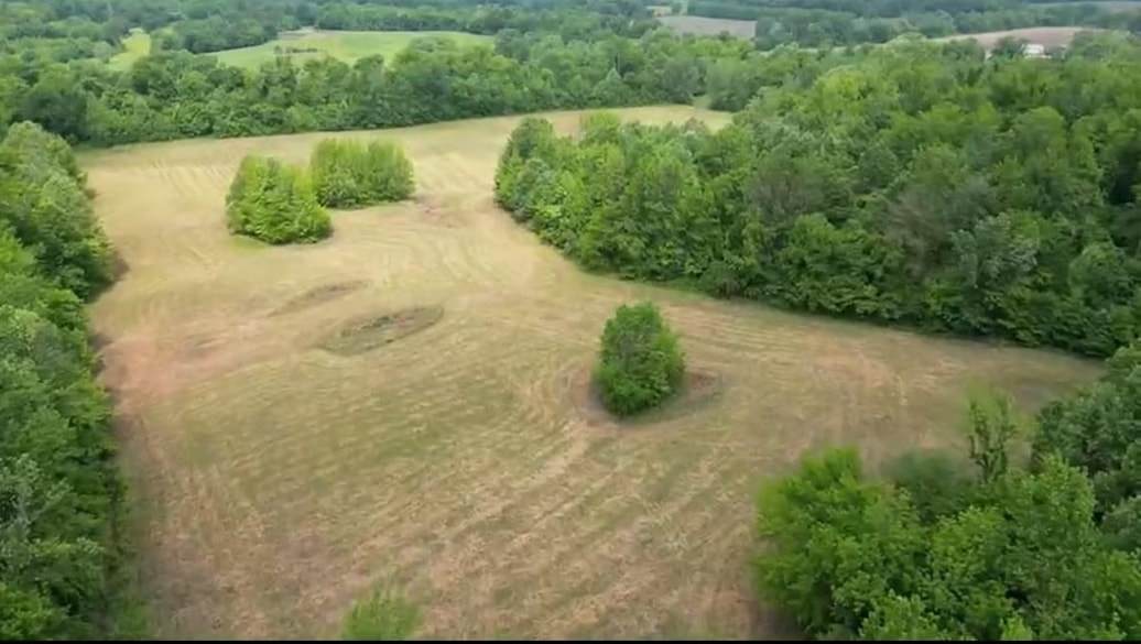 357 Chisholm Lake Rd - Photo 1