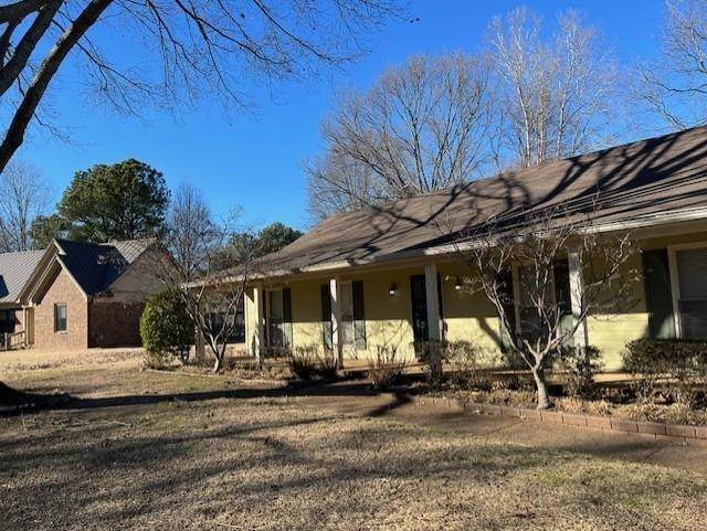 290 Rose Trellis Dr - Photo 1