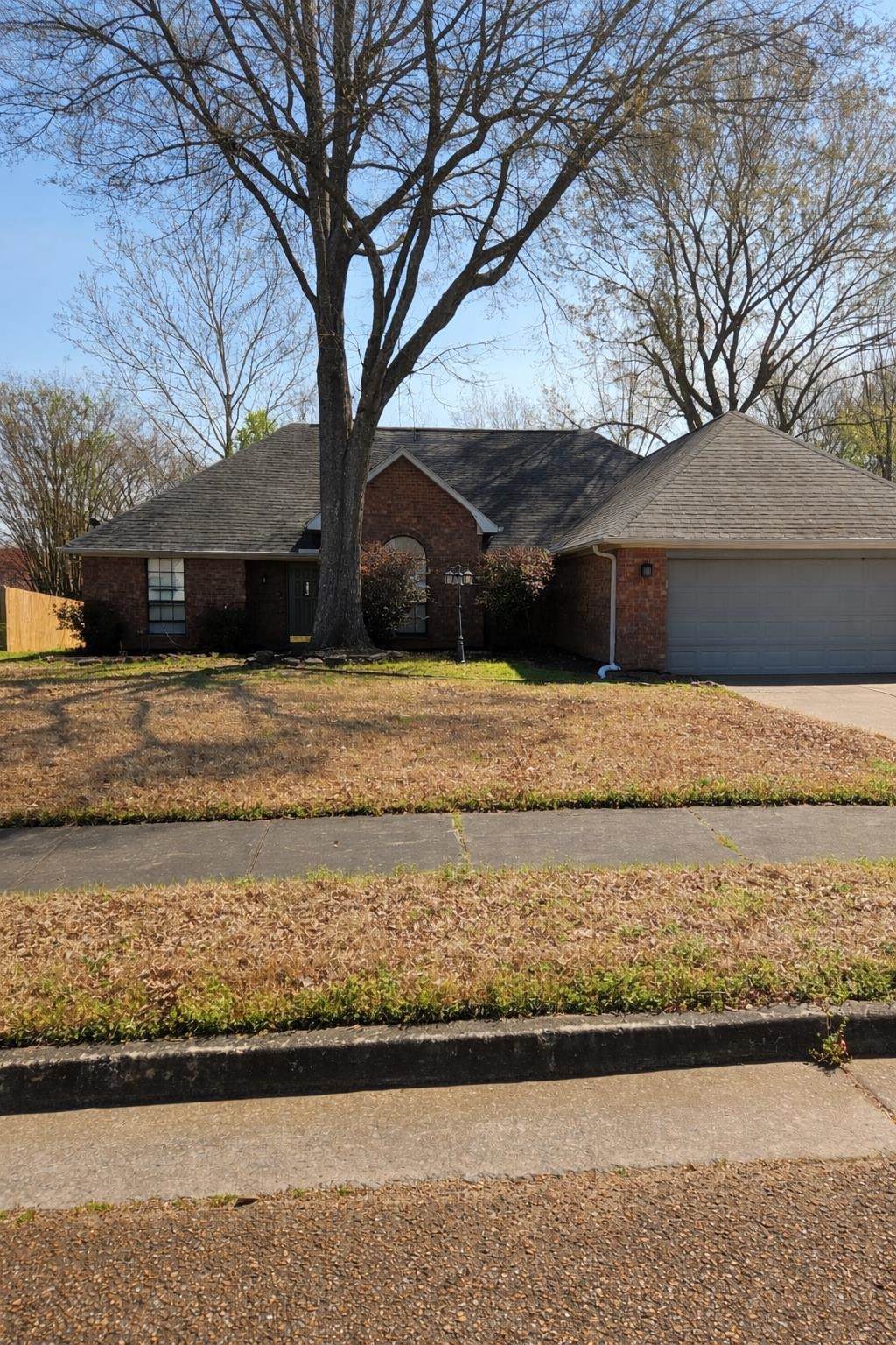 3156 Via Lopez Dr - Photo 1