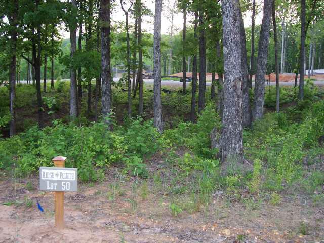 50 Crown Hill Cir - Photo 1
