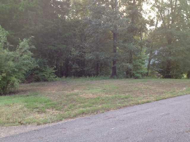 LOT 3 Gant Ln - Photo 1
