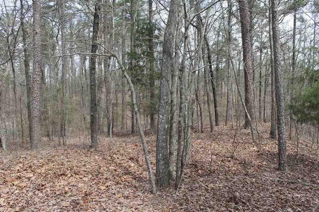 3 Cloudburst Ln - Photo 1