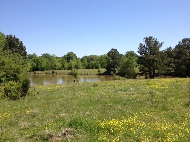 2340 Raleigh Lagrange Rd - Photo 1