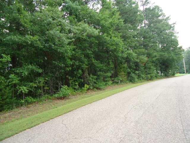 0 Twin View Cir - Photo 1