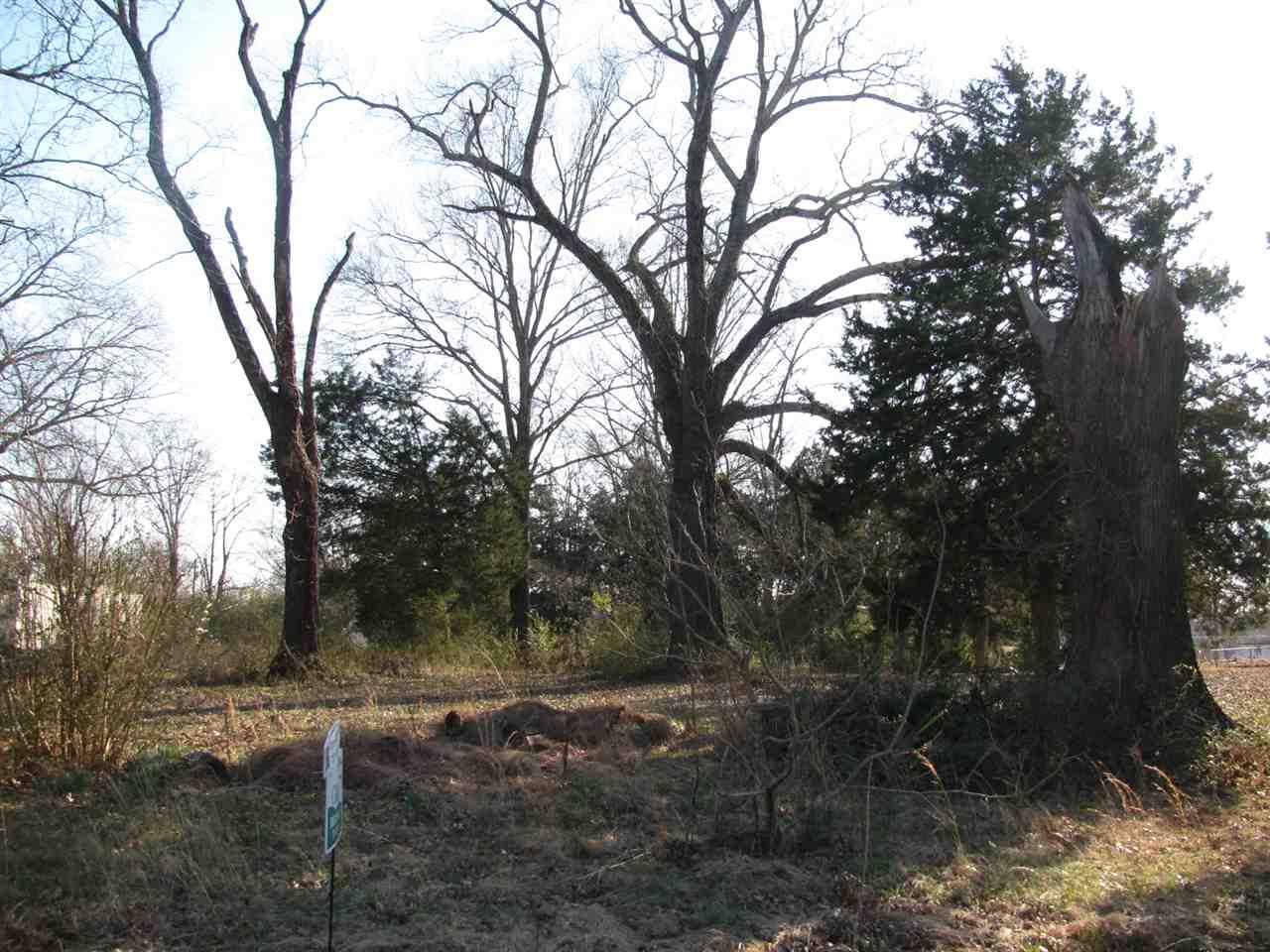 1 Eureka St - Photo 1