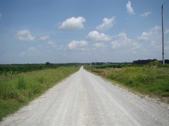 00 Windy City Road Rd - Photo 1