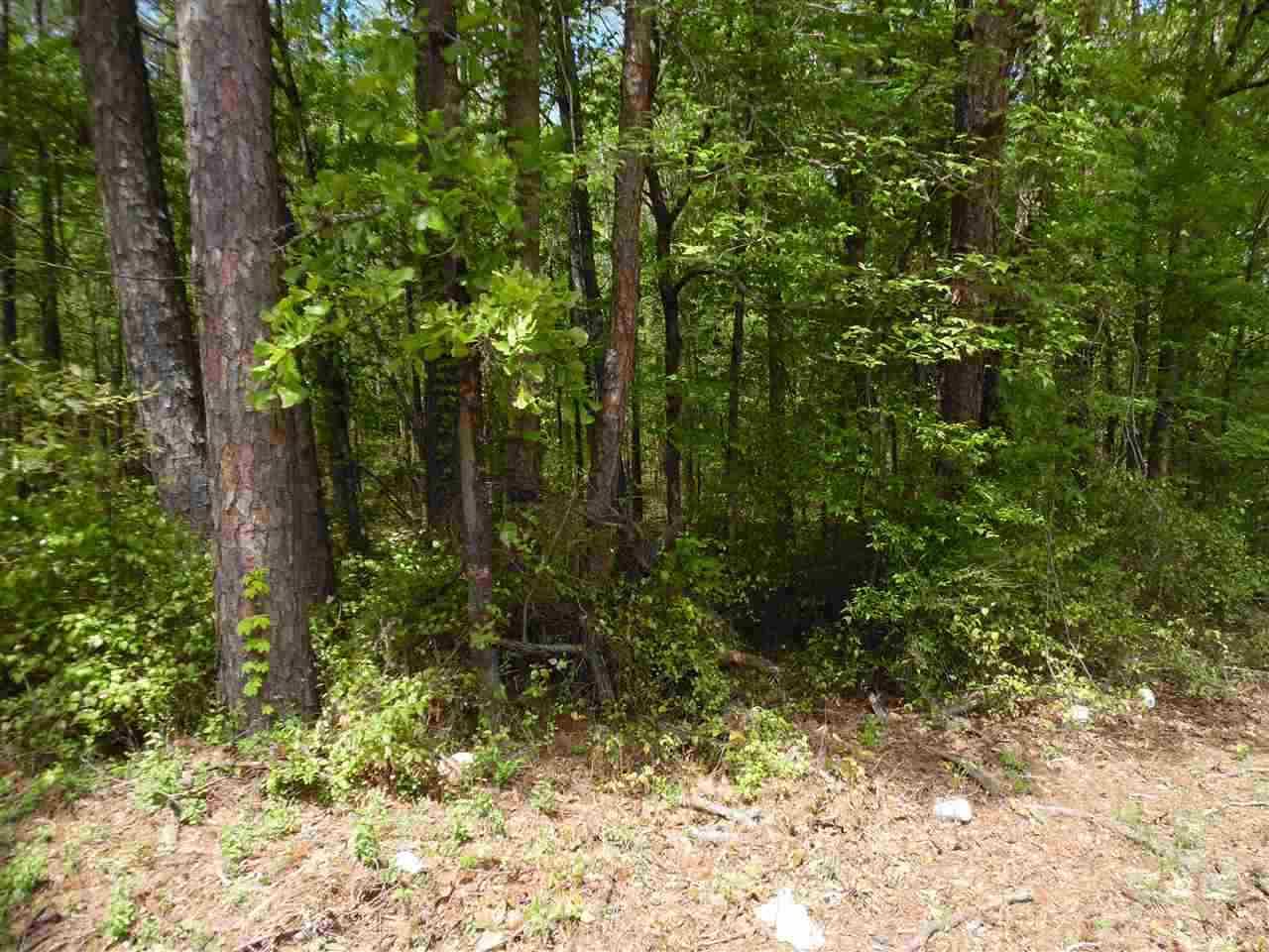Bark Dr - Photo 1