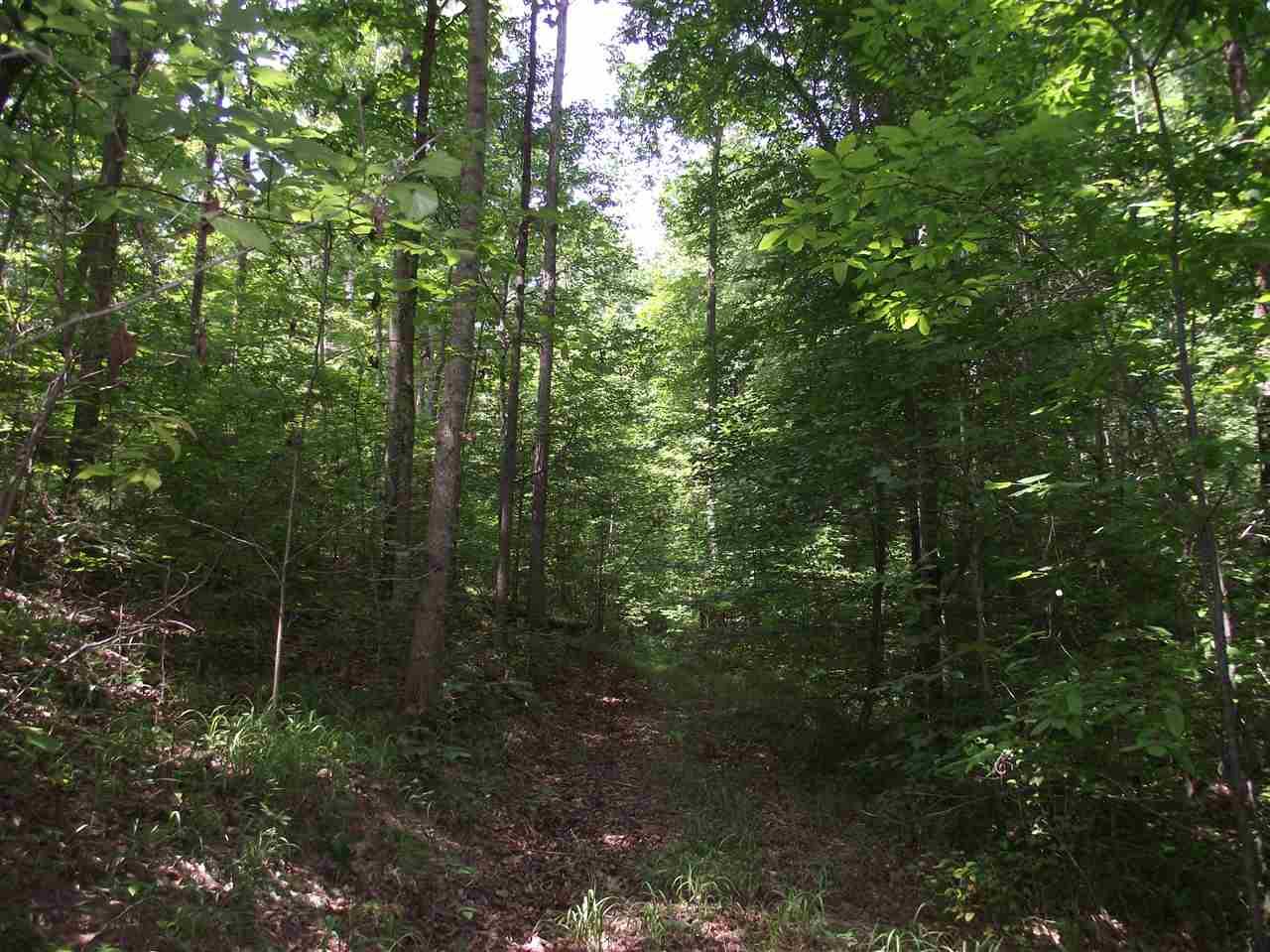 1 Cherokee Cir - Photo 1