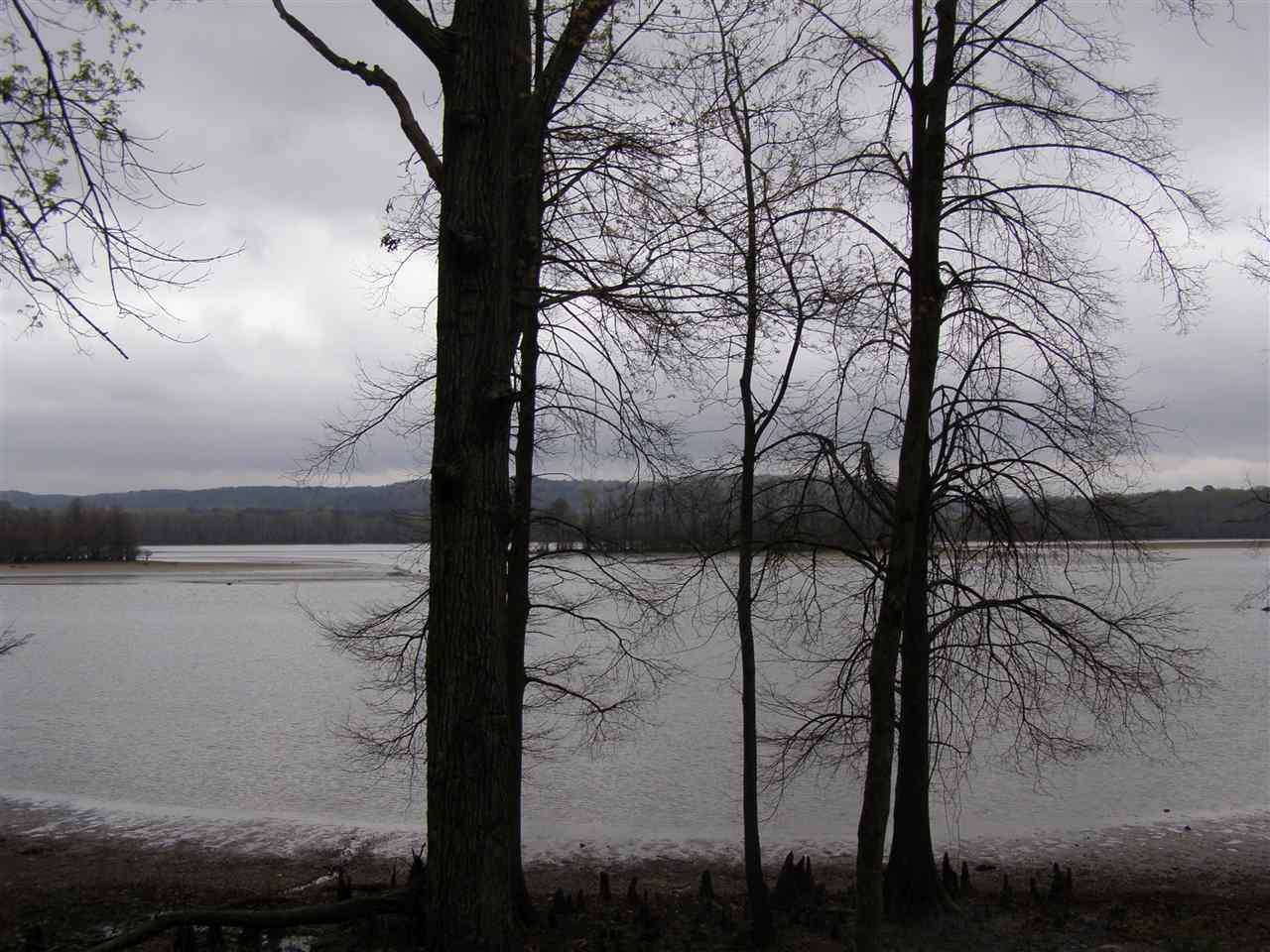0 Bear Creek Ln - Photo 1