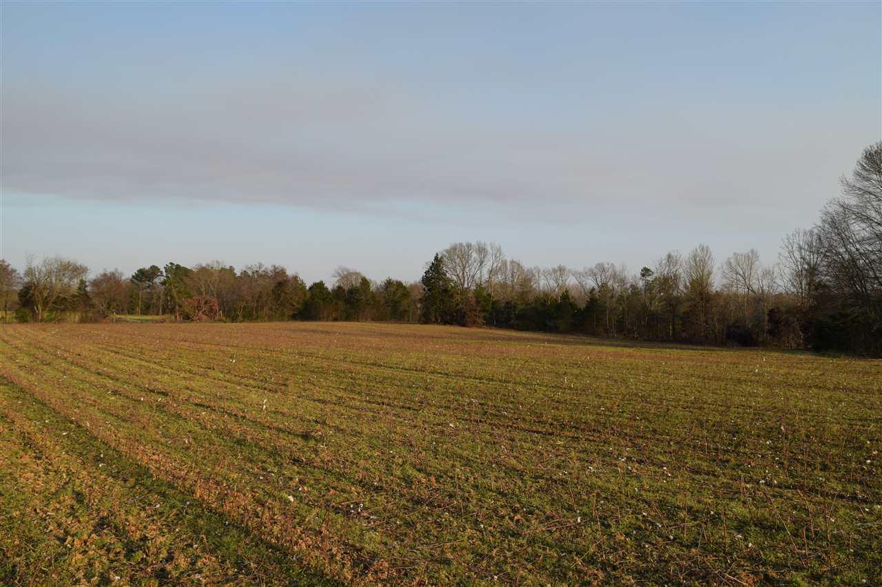0 Ina Rd - Photo 1