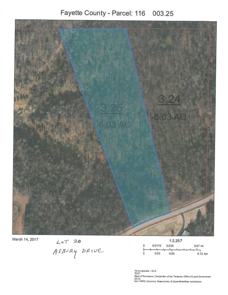 LOT 20 Asbury Dr - Photo 1