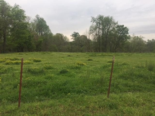 00 Criswell Rd - Photo 1