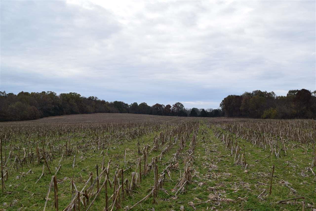 0 Old Jackson Rd - Photo 1
