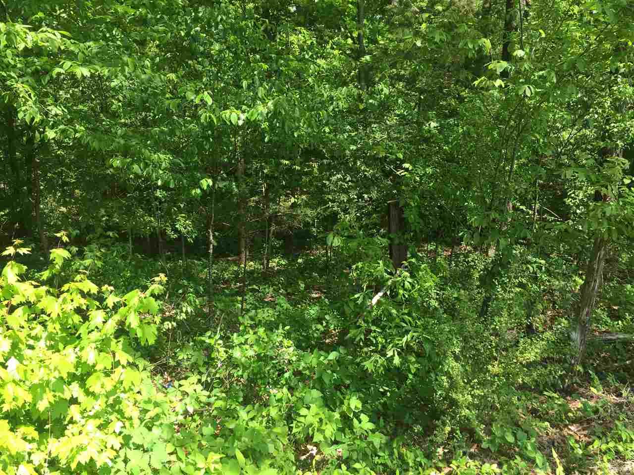 9027 Osborntown Rd - Photo 1