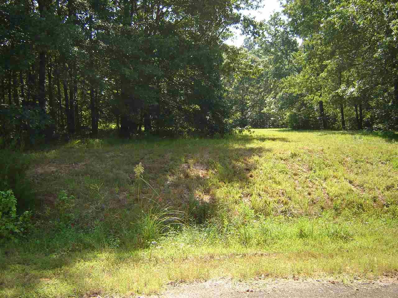 0 Hwy 57 Hwy - Photo 1
