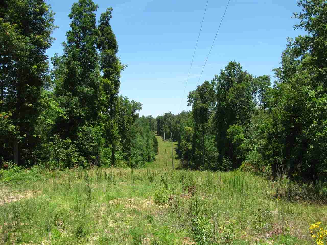 122 Hopewell Church Rd - Photo 1