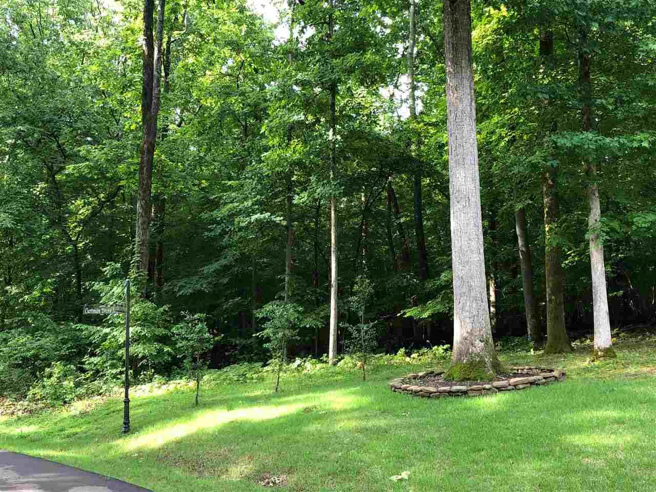 10625 Curtman Dr - Photo 1