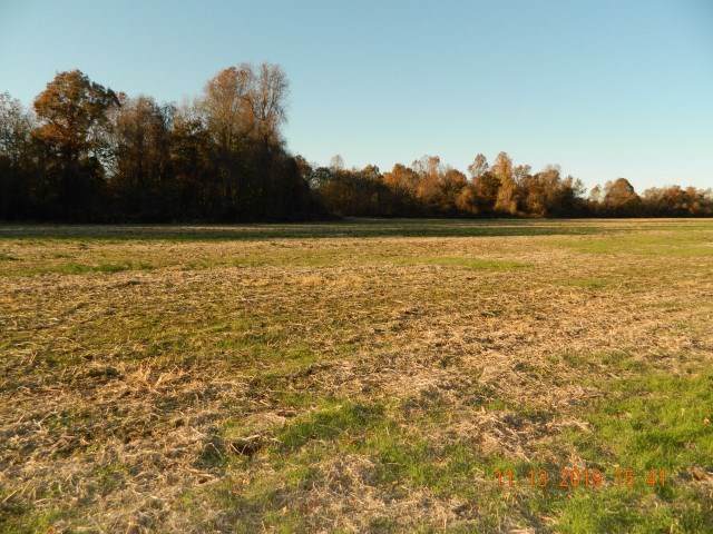 LOT 3 Dolan Rd - Photo 1
