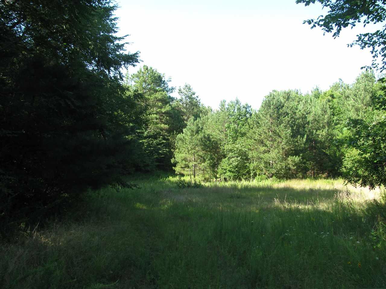 113B Marshall Dr - Photo 1