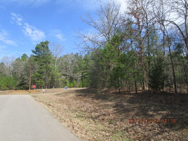 Circle Hill Dr - Photo 1
