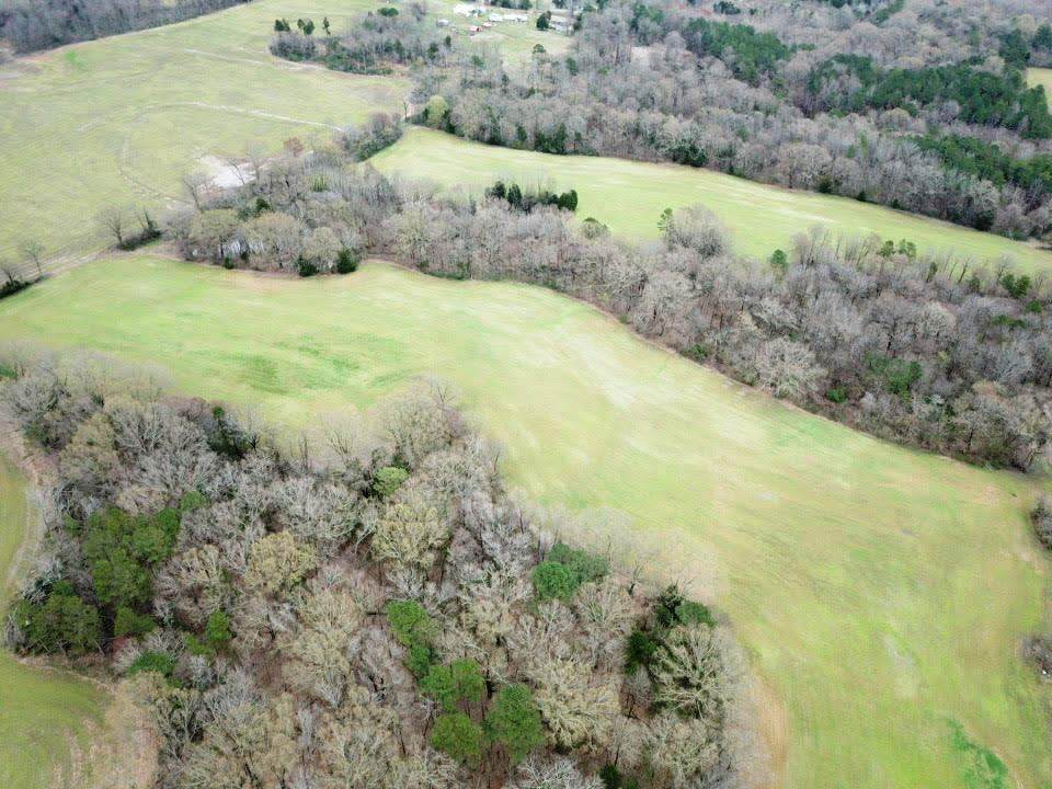 50 Old Jackson Rd - Photo 1