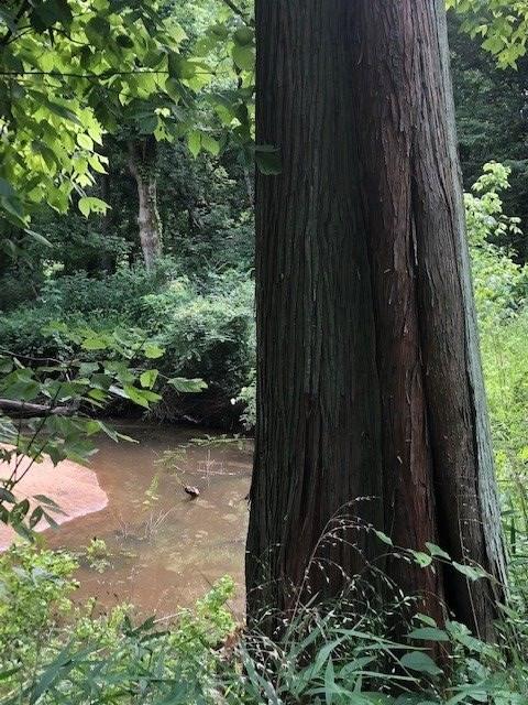 0 Johnson Rd - Photo 1