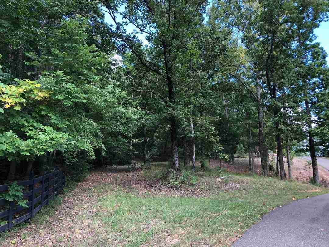 Riva Ridge Ln - Photo 1 Riva Ridge Ln - Photo 1