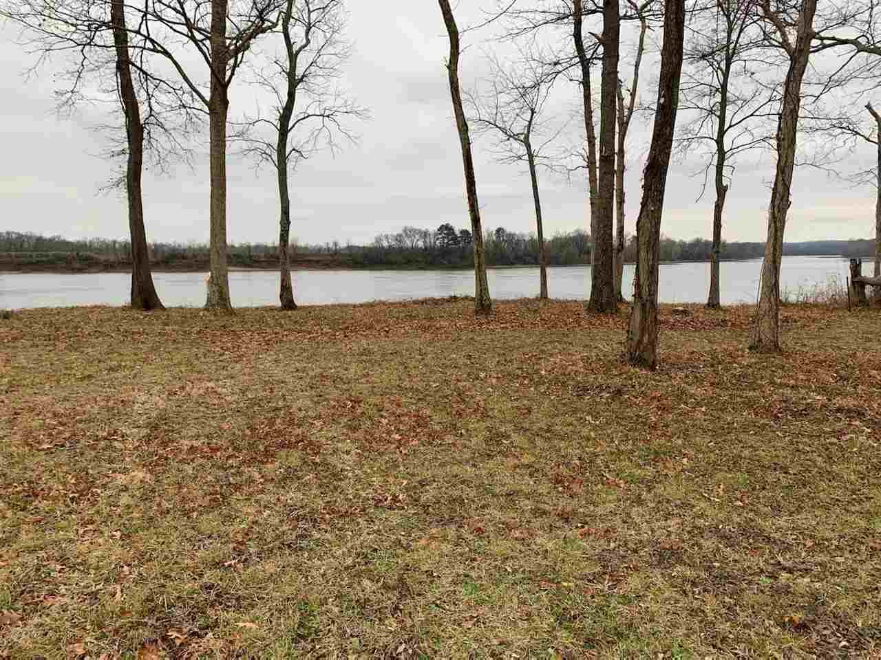 1580 Catfish Ln - Photo 1