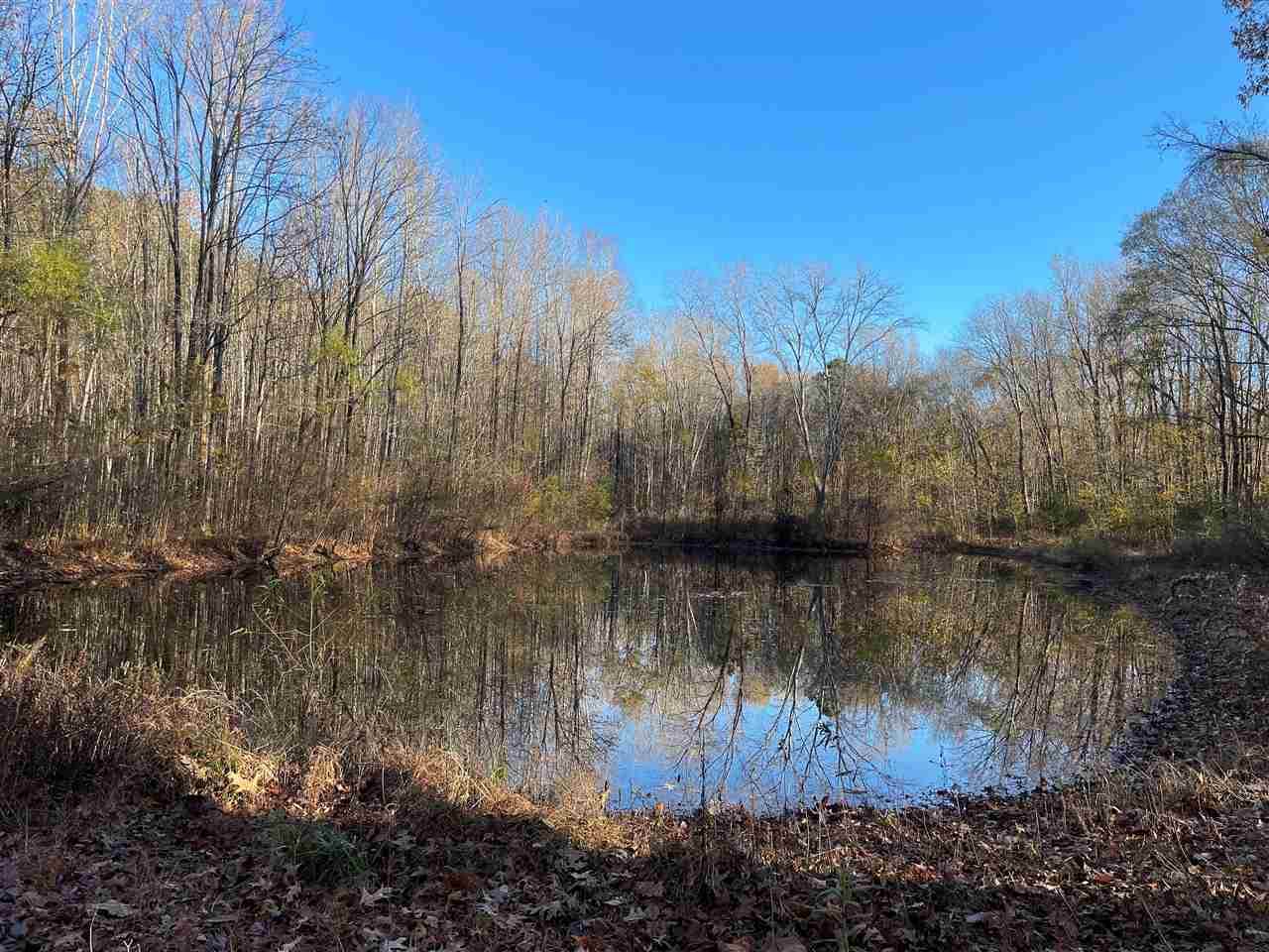 680 Hays Rd - Photo 1