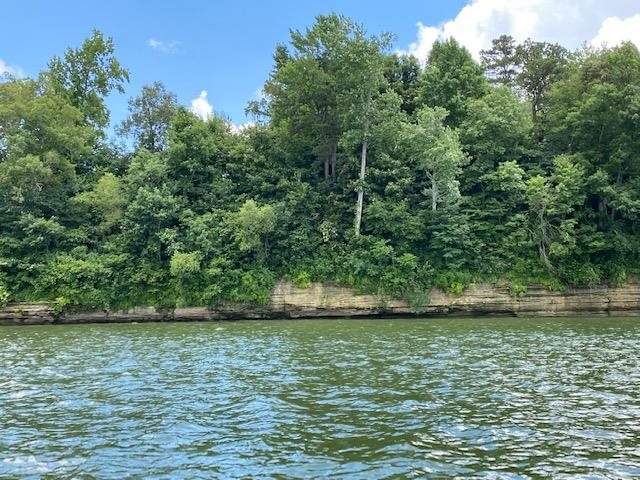 LOT 20 Natchez Ln - Photo 1