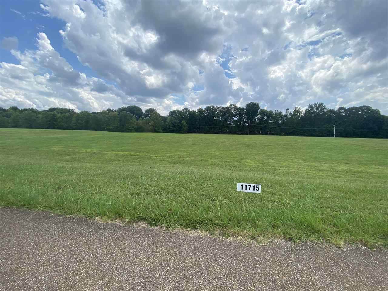 11715 Stable View Dr - Photo 1