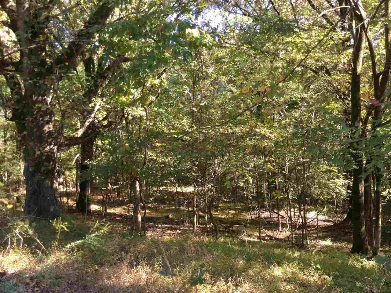 0 Brunswick Rd - Photo 1