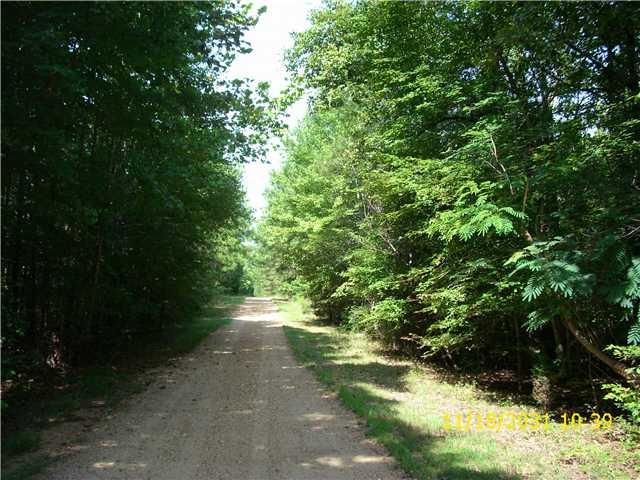 17 Brookwood Loop - Photo 1