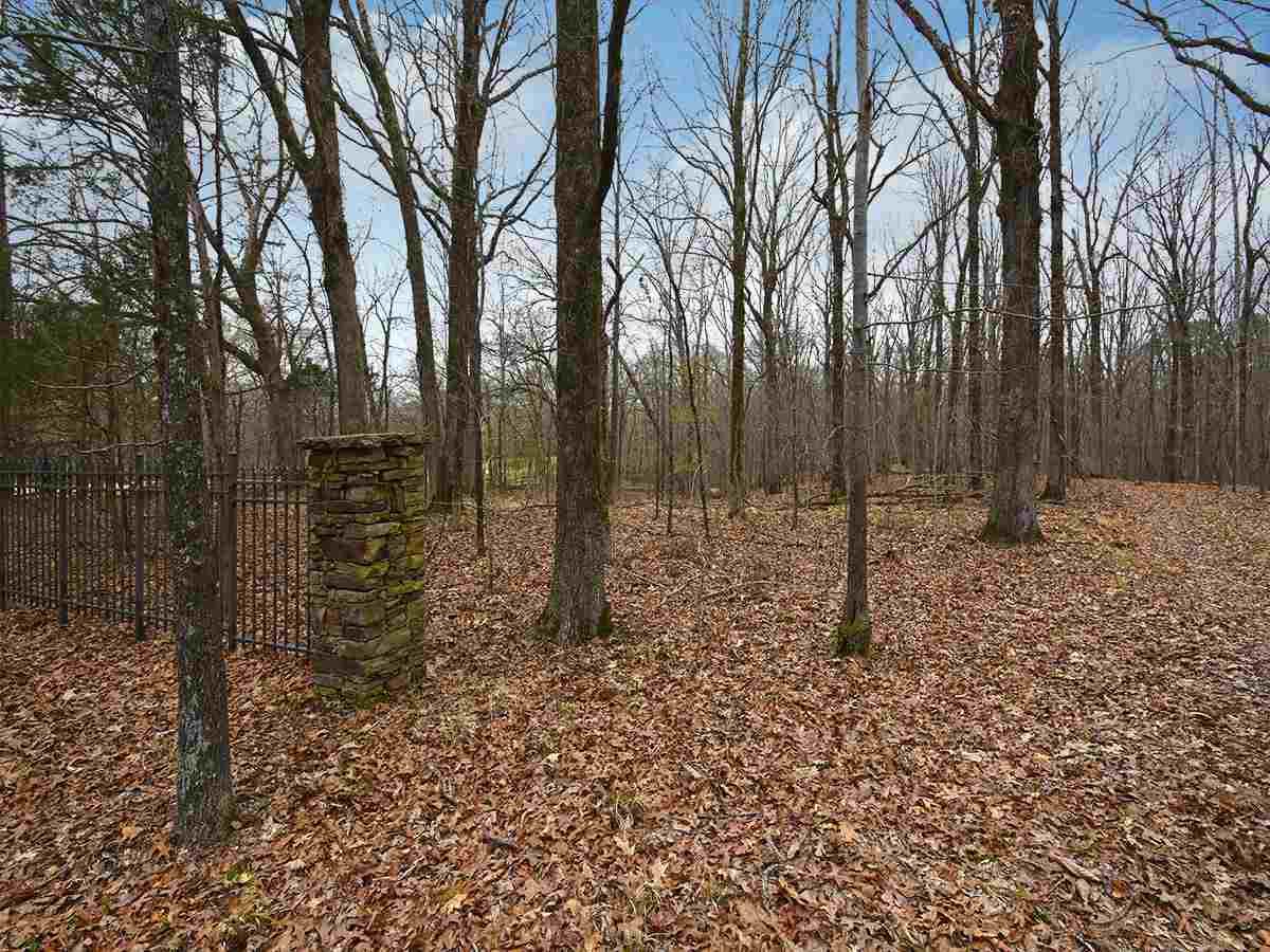 10810 Raleigh-Lagrange Rd - Photo 1
