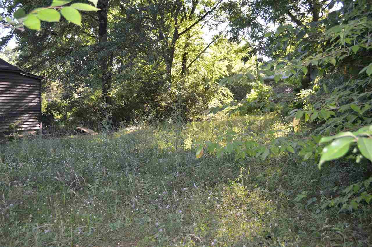 1315 Hyde Park Blvd - Photo 1