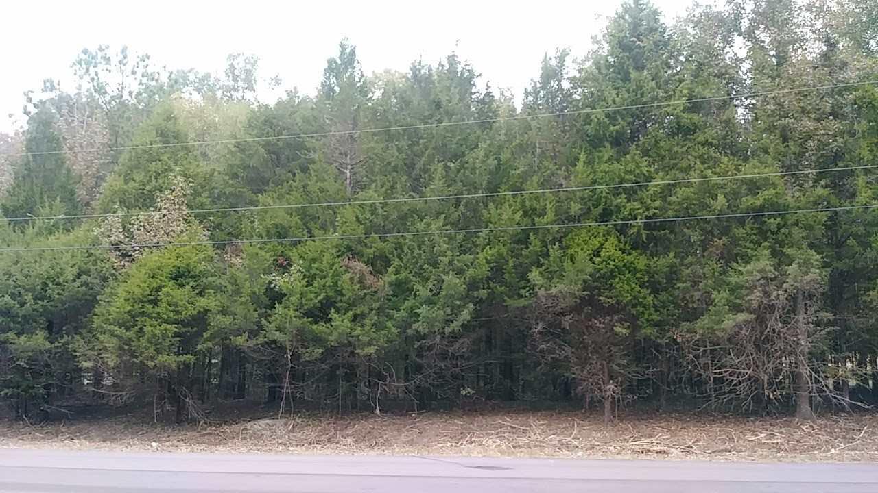 9914 Holly Grove Rd - Photo 1