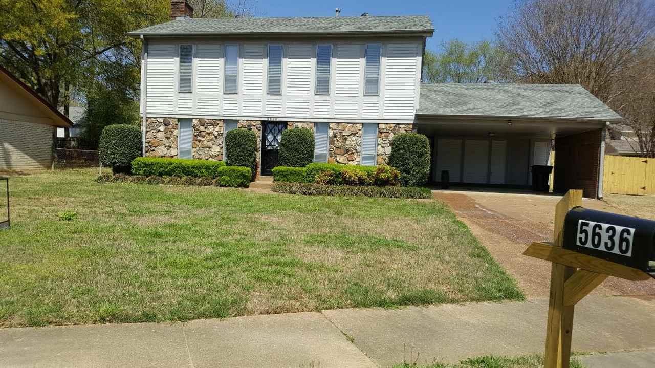 5636 Ackerman Cv - Photo 1