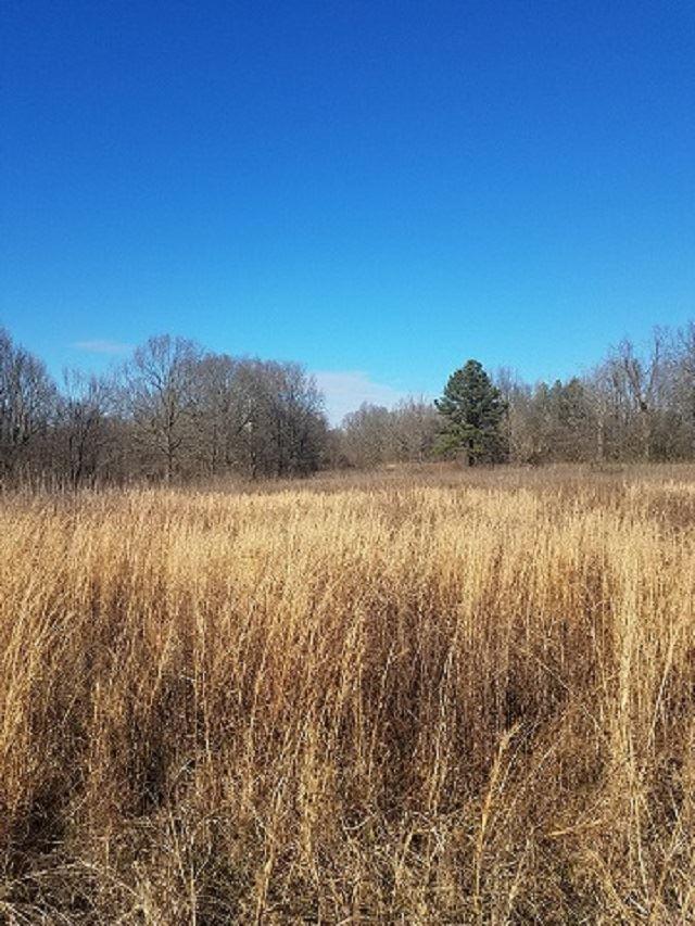 942 Robertson Rd - Photo 1
