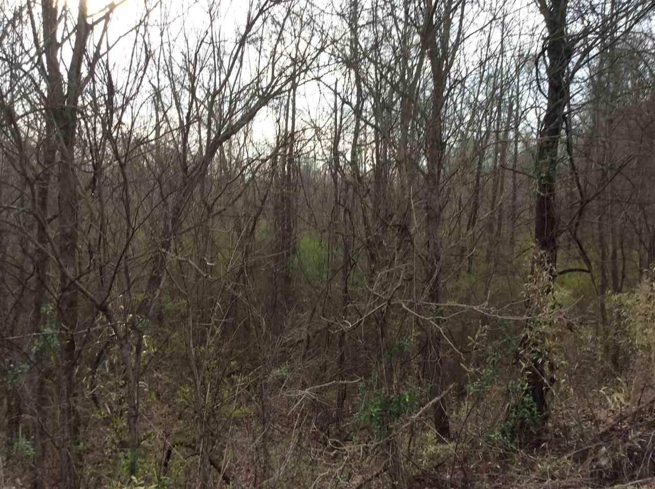 0 Watkins Rd - Photo 1 0 Watkins Rd - Photo 1