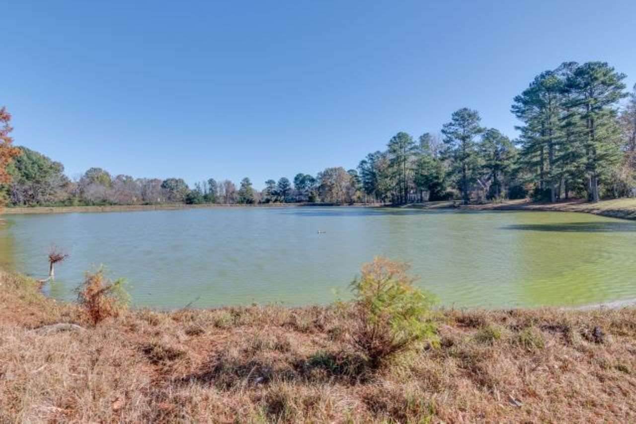 LOT 4 Echo Lake Ln - Photo 1